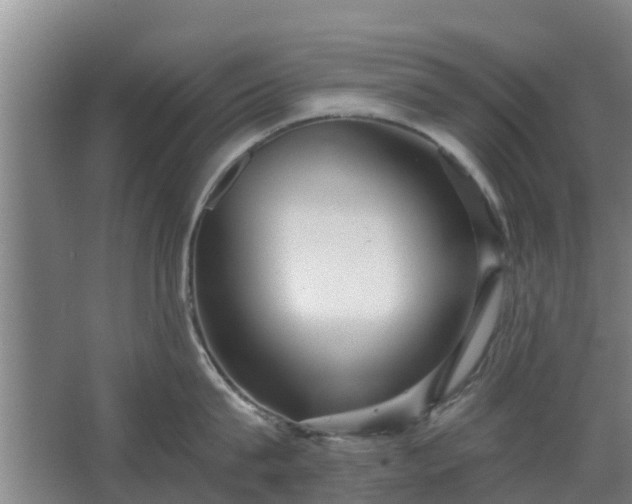 X0000068270815200604281550