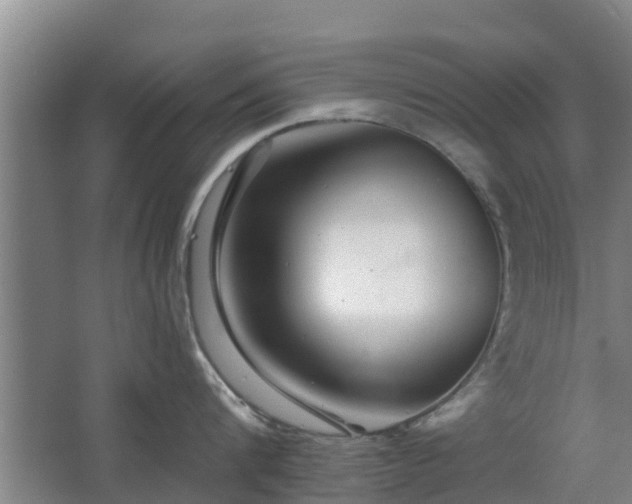 X0000068270816200604281550