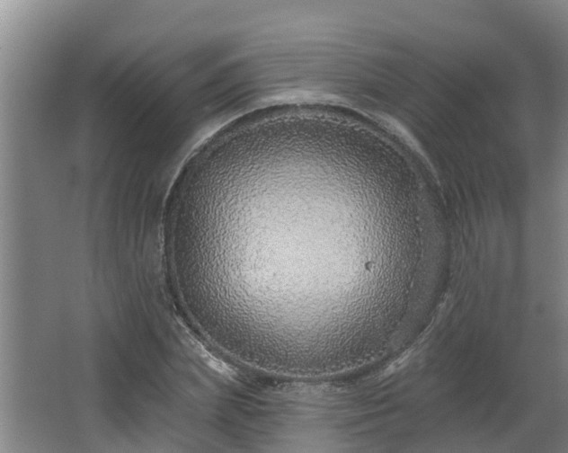 X0000068270831200604281549