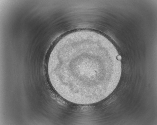 X0000068270832200604281549