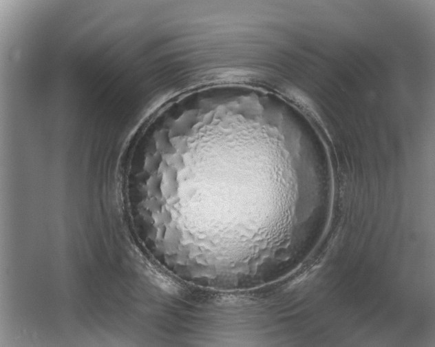 X0000068270835200604281549