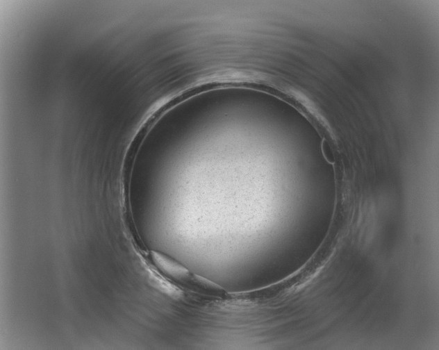 X0000068270837200604281549