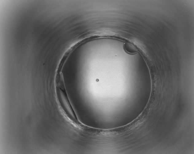 X0000068270840200604281549