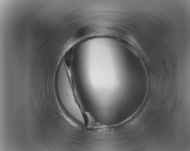 X0000068270842200604281549