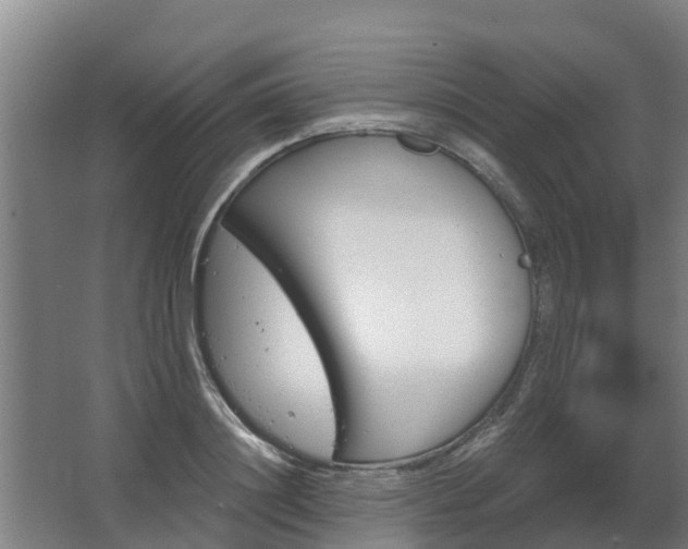 X0000068270844200604281549