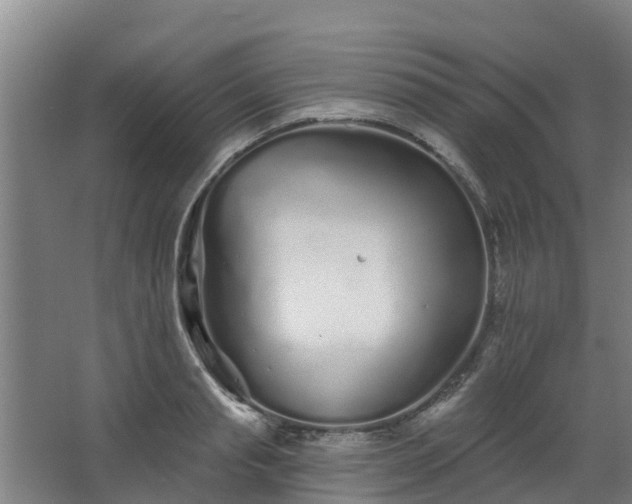 X0000068270845200604281549