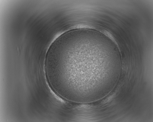 X0000068270847200604281549