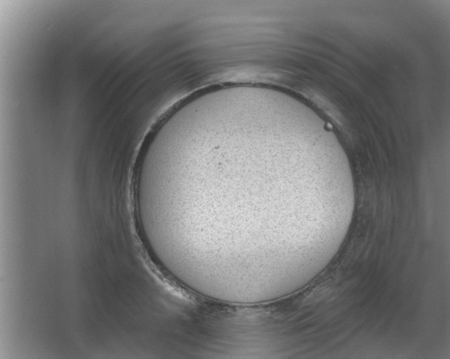 X0000068270848200604281549