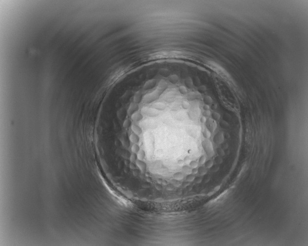 X0000068270849200604281549