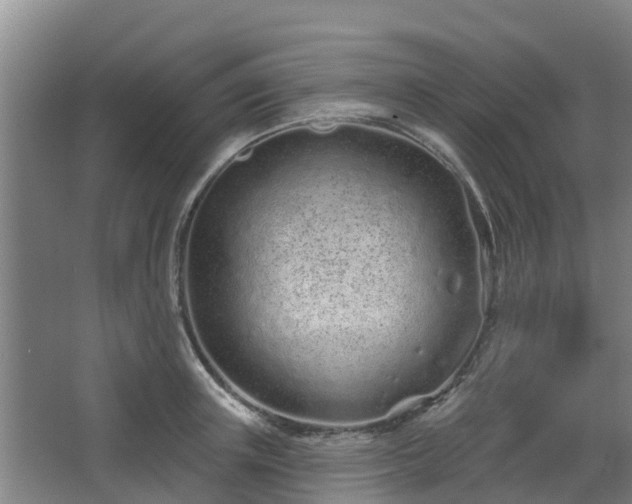 X0000068270851200604281549