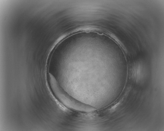 X0000068270853200604281550