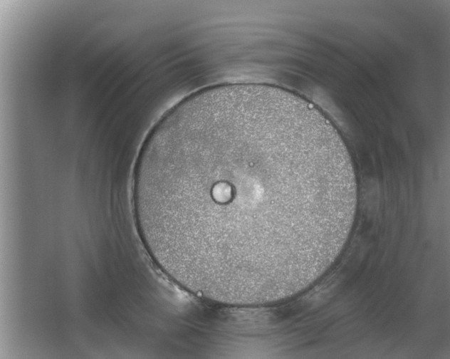 X0000068270856200604281550