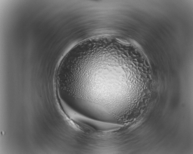 X0000068270859200604281550