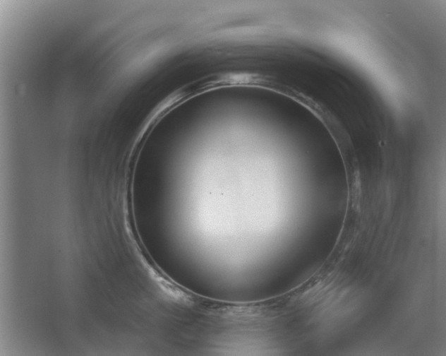 X0000068270861200604281550