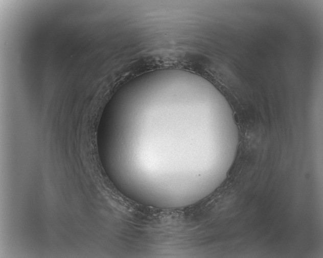 X0000068270865200604281549