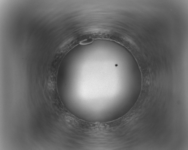 X0000068270869200604281549