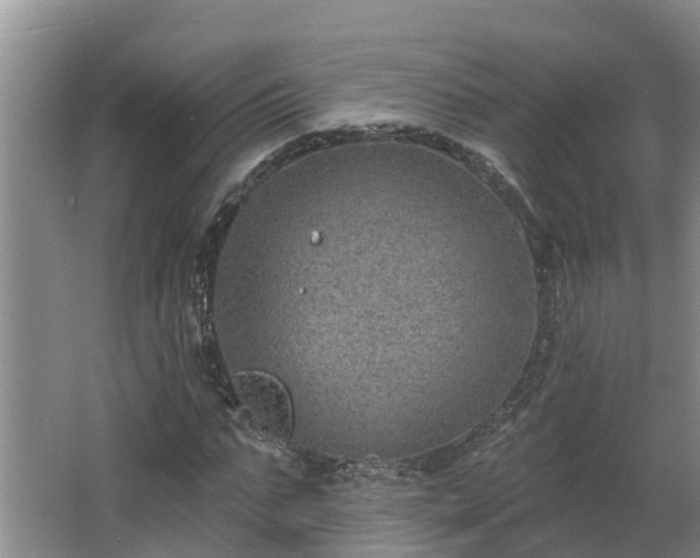 X0000068270871200604281549