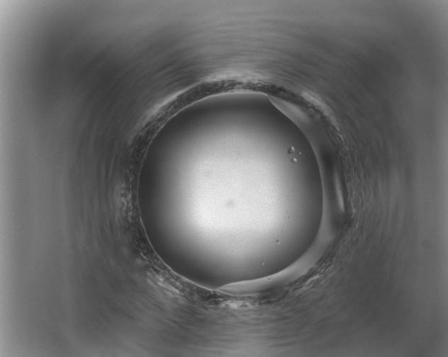 X0000068270872200604281549