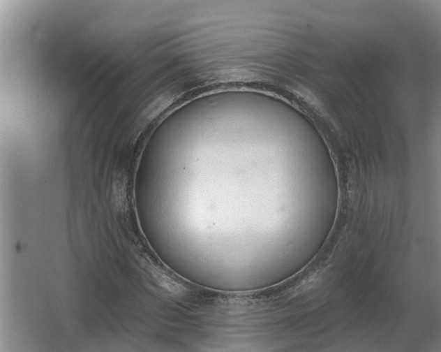 X0000068270873200604281549