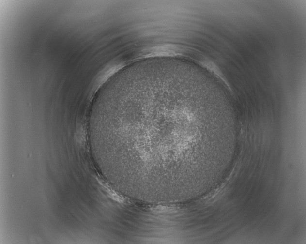 X0000068270874200604281549