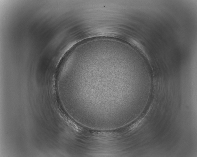 X0000068270875200604281549