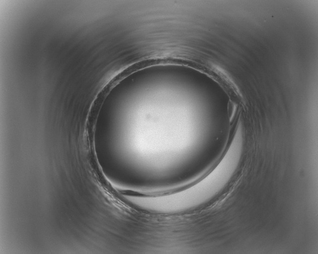 X0000068270876200604281549