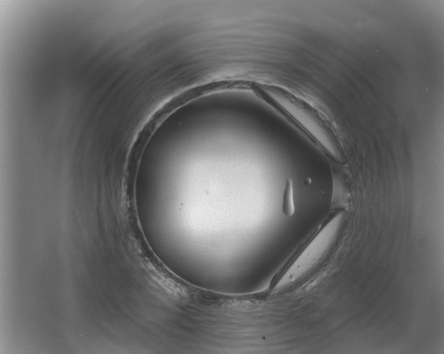 X0000068270880200604281549