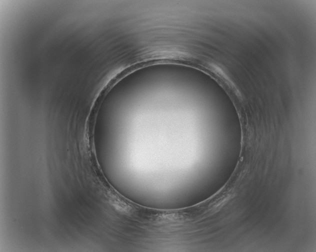 X0000068270883200604281549