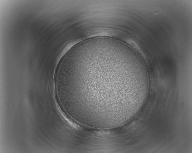 X0000068270890200604281548