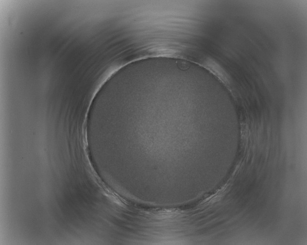 X0000068270891200604281548