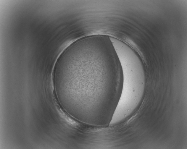 X0000068270892200604281548