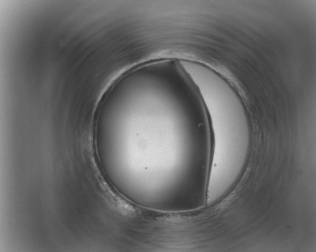 X0000068270896200604281548