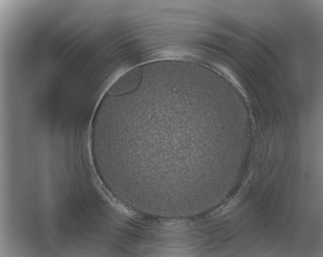 X0000068270899200604281548