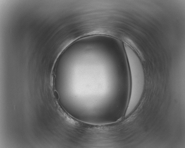 X0000068270900200604281548