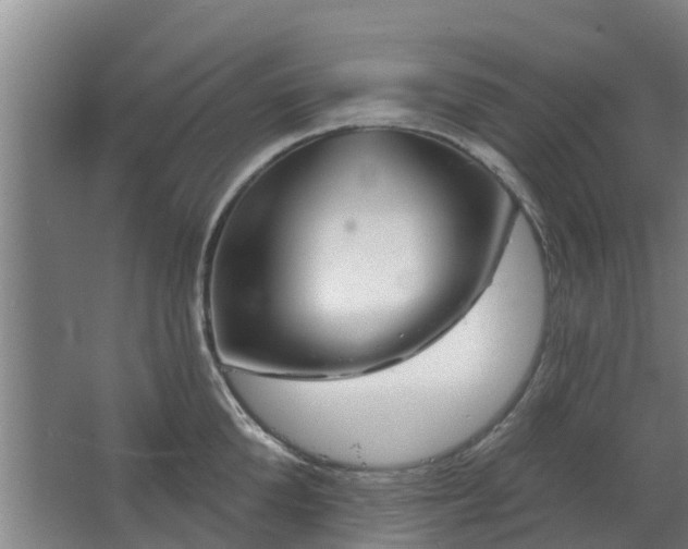 X0000068270904200604281548