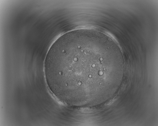 X0000068270907200604281548