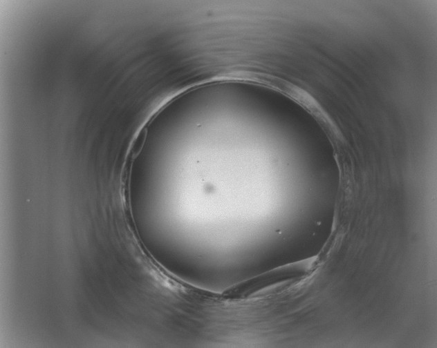 X0000068270908200604281548