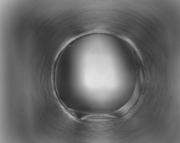 X0000068270910200604281548