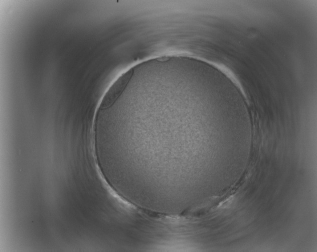 X0000068270911200604281548