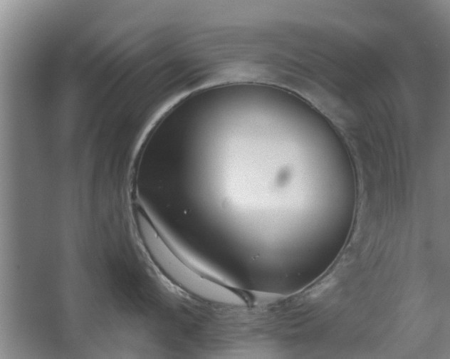 X0000068270912200604281548