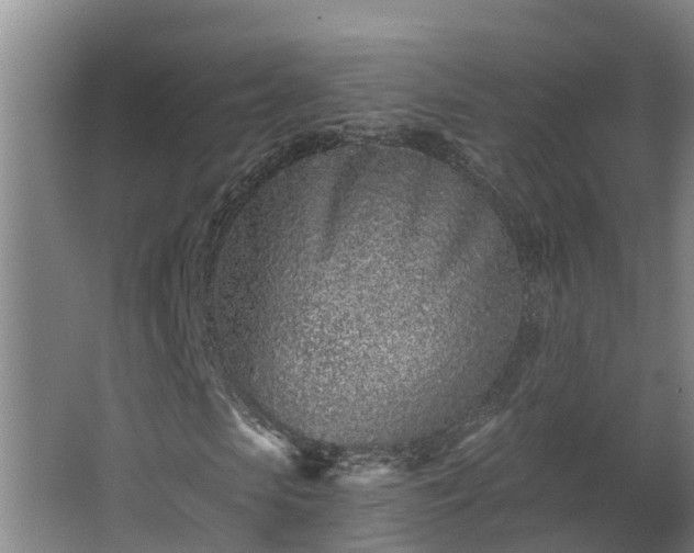 X0000068270913200604281547