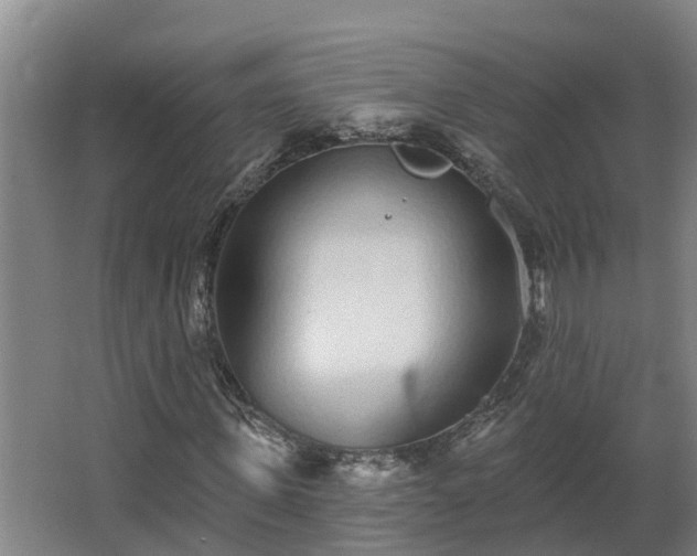 X0000068270915200604281547