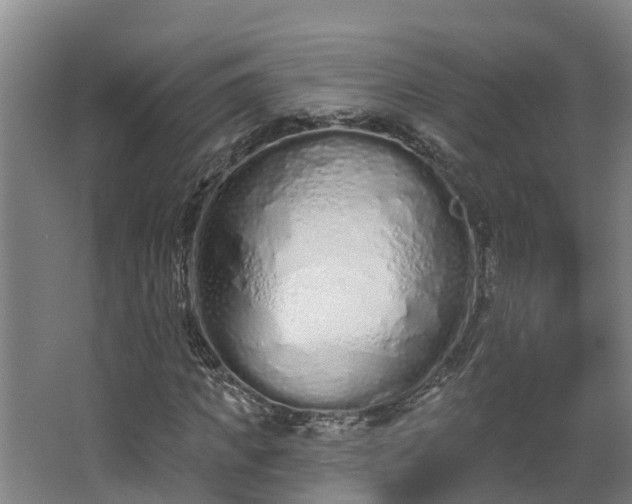 X0000068270917200604281547