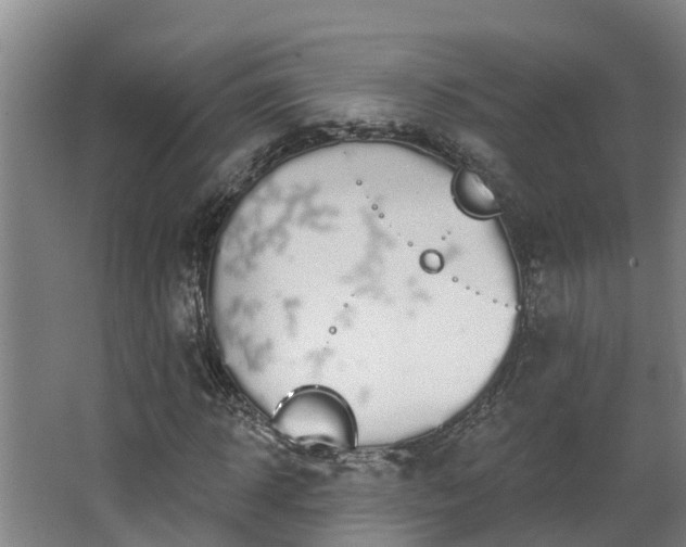 X0000068270918200604281547