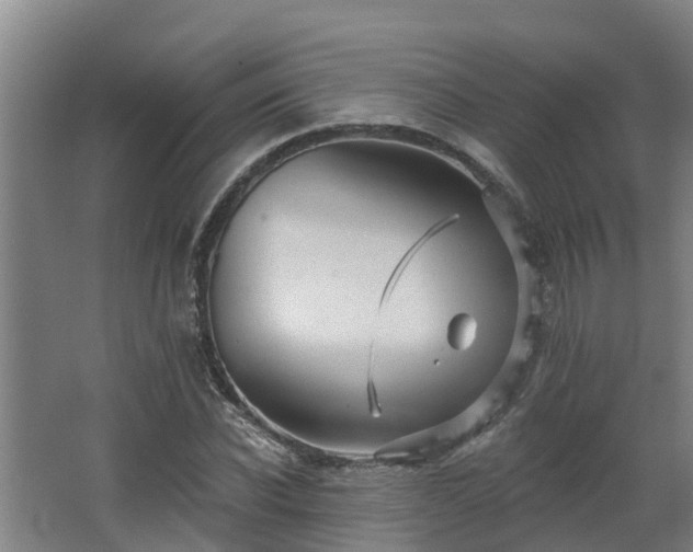 X0000068270926200604281548