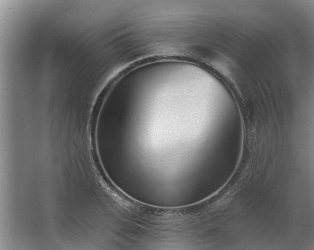 X0000068270935200604281548