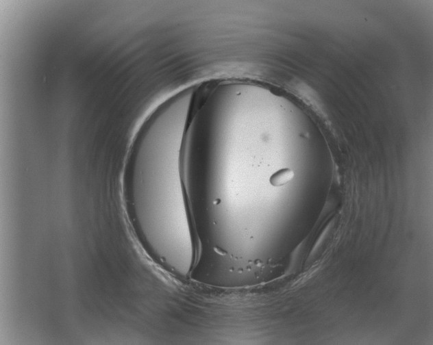 X0000068270936200604281548