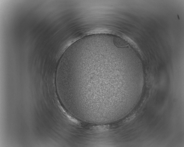 X0000068270937200604281548