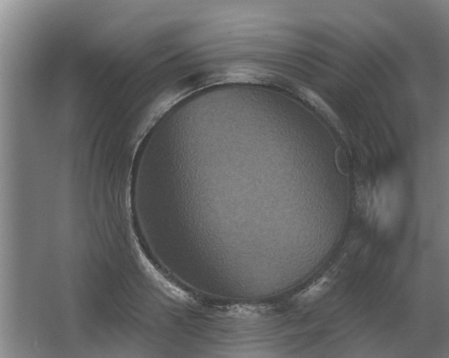 X0000068270938200604281548