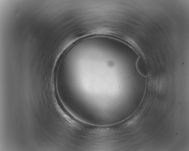 X0000068270939200604281548